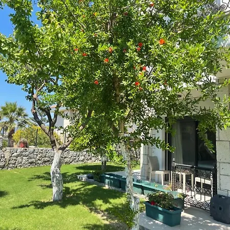 Bed & Breakfast Dalyan Risus