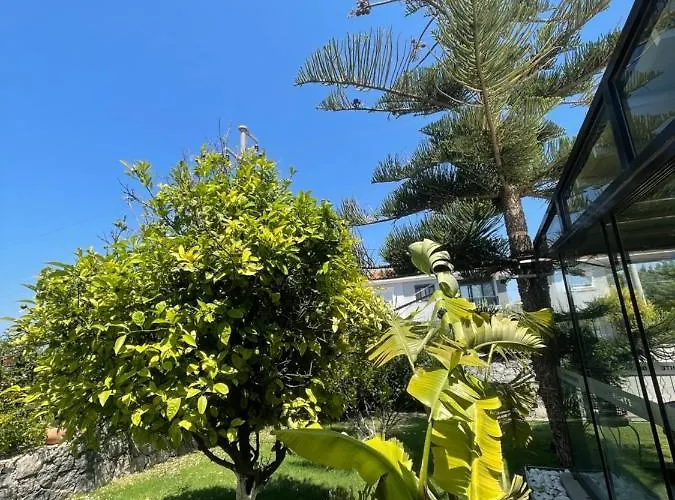 Dalyan Risus 住宿加早餐酒店 4*