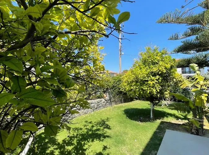 Dalyan Risus 住宿加早餐酒店 4*