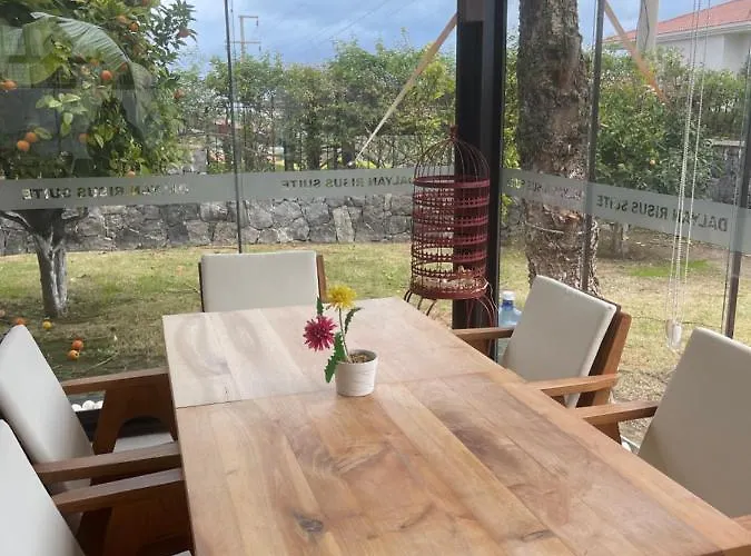 Dalyan Risus Чешме