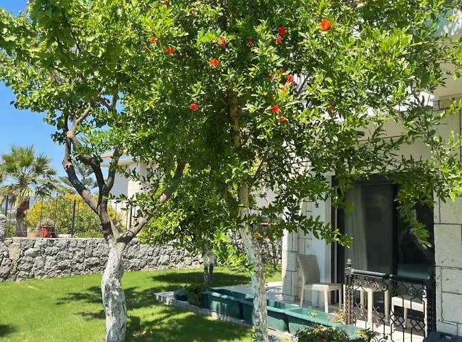 住宿加早餐酒店 Dalyan Risus