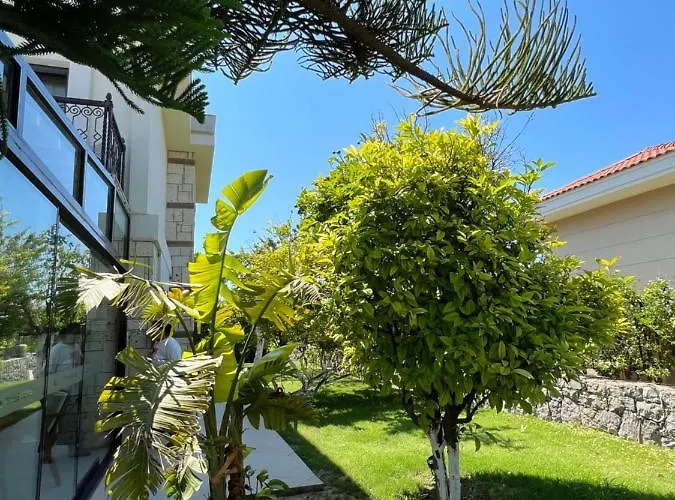 Dalyan Risus 住宿加早餐酒店 Çeşme